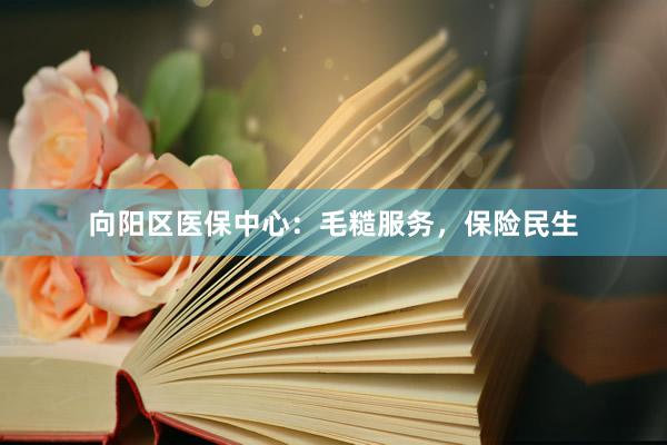 向阳区医保中心：毛糙服务，保险民生