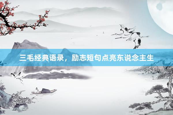 三毛经典语录，励志短句点亮东说念主生